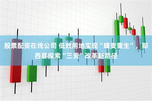 股票配资在线公司 低效用地实现“蝶变重生”，郧西县探索“三资”改革新路径